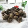 Товары от 红苹果爱之家