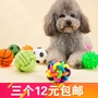 Pet puppy dog ​​toy ball vocal mol cắn đào tạo Teddy gấu con chó con mèo đồ chơi cung cấp chó nhai - Mèo / Chó Đồ chơi đồ chơi cho mèo cào móng