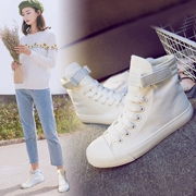 Mùa hè 2018 phong cách mới Giày vải cao cổ Velcro nữ tăng phiên bản Hàn Quốc của đôi giày nhỏ màu trắng dành cho sinh viên
