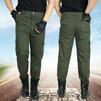 Армейский зеленый 1 холст шесть штанов два