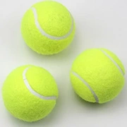 Phục vụ trò chơi cơ sở và trung cấp thú cưng đặc biệt đồ chơi cao hồi phục quần vợt đào tạo thiết bị bóng trẻ em 3 - Quần vợt