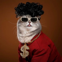 Очки для домашних животных, солнцезащитные очки для кошек, ретро крутой кот, забавный реквизит для фото, персонализированные аксессуары для кошек, щенков, собак