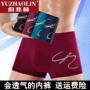 Yu Zhaolin nam đồ lót nam phương thức boxer cotton cotton lụa cảm giác thanh niên bốn góc mùa hè thở quần short quần sịp nam tam giác