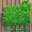 Mô phỏng nhà máy tường cỏ sân vườn trang trí tường giả hoa màu xanh lá cây tường bề mặt tường nhựa màu xanh lá cây treo cửa trong nhà - Hoa nhân tạo / Cây / Trái cây