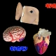 Мозг+сердце+ухо (полный набор специальных предложений)