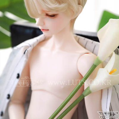 taobao agent Senior65 DELF BOY BOY BOY TYPE3 Slender Doll Luts 65 Big Fruit BJD