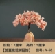 Y-60 (моделирование персикового дерева цветка)
