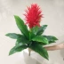 Mô phỏng đầu may mắn hoa giả lối vào phòng khách trang trí trong nhà anthurium tốt lành mô phỏng cây trồng trong chậu cây cảnh hoa nhựa treo tường Hoa nhân tạo / Cây / Trái cây