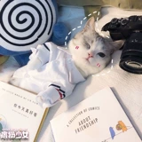 Кошка кошка кошка собака осень и весна осень нежная джентльменская рубашка юбка для рубашки Skinari Teddy Pets Style