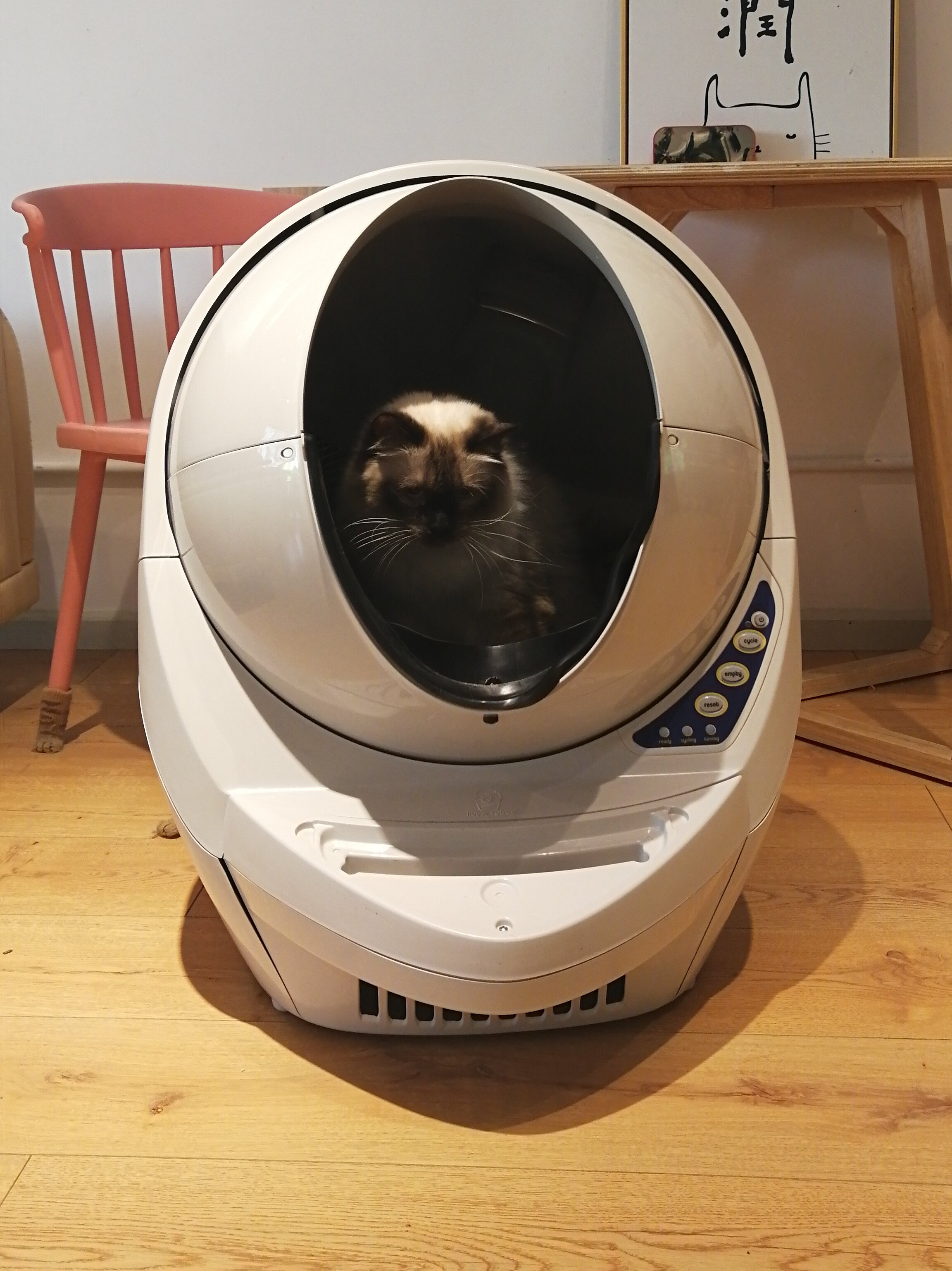 litterrobot全自动智能猫砂盆