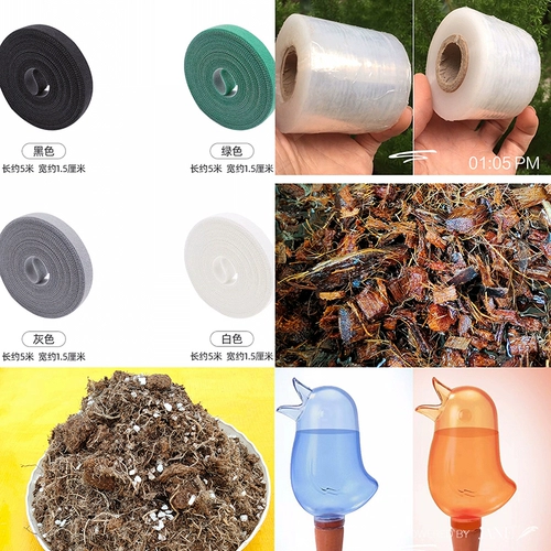 Столп водой мош окружает продукты для садоводства выделенная бинга с запутанной птицей, запутанная мембранные звень