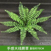 Красная рука -чувствительная к линии трава папоротника