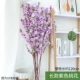 Длинные 10 -й персиковой цветок фиолетовый 10 ветвей