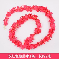 Rose Red Wisteria String 1