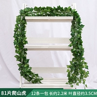 81 листья поднимаются на листья горного тигра 1 упаковка [12 упаковка]