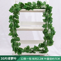 30 листьев зеленых листьев разливов 1 упаковка [12 штук]