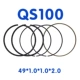 QS100 Поршневое кольцо