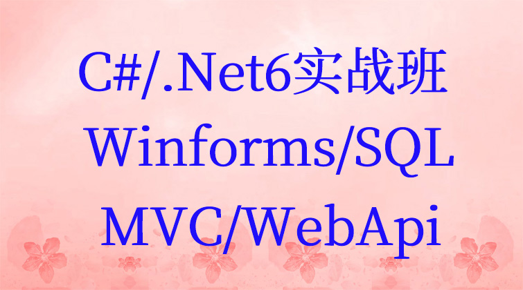 haima malala aotuo fuer aoer C#  Winforms SQL 视频课程