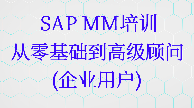 haima malala aotuo towin fuer aoer SAP MM企业用户视频课程