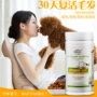 Mới yêu thích Kang xuất khẩu vật nuôi đặc biệt vẻ đẹp lecithin hạt 380g sản phẩm dinh dưỡng sức khỏe chó và mèo đóng hộp sữa cho chó mèo sơ sinh