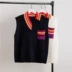 2018 mới khâu áo len chic sang trọng V-cổ áo len màu tương phản áo len nữ rộng rãi Li Li Zhien cùng đoạn áo kiểu nữ đẹp Áo vest