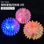 Pet puppy dog ​​toy ball vocal mol cắn đào tạo Teddy gấu con chó con mèo đồ chơi vật nuôi chó cung cấp - Mèo / Chó Đồ chơi đồ chơi cho chó ngứa răng