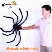 Đồ trang trí Halloween Đồ chơi bán buôn Tricky Black Spider Spider Spider Hoa 5 Tùy chọn - Sản phẩm Đảng / Magic / Hiệu suất