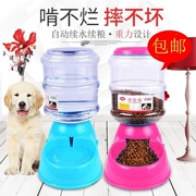 Chó trong chậu nước uống bình nước uống nước nhỏ cần thiết hàng ngày tự động mèo nhỏ trong nước mèo lớn bé - Cat / Dog hàng ngày Neccessities