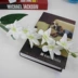 Mô phỏng của Yang Lan Trang trí nhà Hoa Phong lan Phòng khách Trang trí phòng ngủ Trong nhà Hoa sắp xếp Vườn hoa - Hoa nhân tạo / Cây / Trái cây Hoa nhân tạo / Cây / Trái cây
