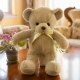 Teddy gấu đồ chơi sang trọng giữ gối ngủ búp bê ôm gấu rag búp bê dễ thương cô gái dễ thương Hàn Quốc - Đồ chơi mềm