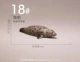 18#SEAL (длиной около 8 см)
