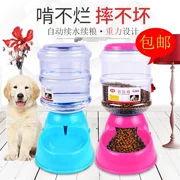 Pot dog pet nước quả chai nước hộ gia đình nhỏ cần thiết hàng ngày nước uống tự động mèo nhỏ mèo lớn - Cat / Dog hàng ngày Neccessities