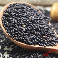 Wujinxiang Black Rice Rice Japonica рис пять фунтов северо -восточного сельскохозяйственного зерна зерно зерно рис рис очень питатель, а старые дети беременны