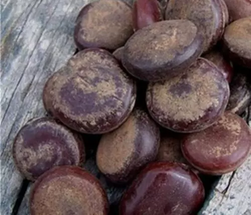 500G бесплатная доставка Тибетская лакир