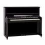 nhập khẩu Đức chính hãng Franz Sandner bích Sander SP-210A người lớn trong gia đình đàn piano đứng thẳng - dương cầm piano điện giá rẻ