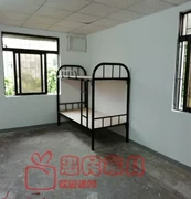 Thâm Quyến nhân viên bunk giường sắt giá cả phải chăng và bền trên lớn uốn cong ống đen dày 50 - Giường