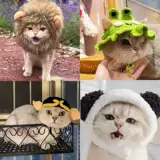 Сетка для волос, брендовая милая шапка, аксессуар для волос, популярно в интернете