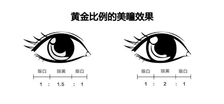 重点,因为它会直接影响配戴效果,要想达到眼白与眼珠1:2:1的黄金比例