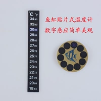 Аквариум, индукционный глянцевый термометр для обучения математике