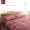 Giặt bông bốn mảnh cotton đơn giản siêu mềm mại ngủ màu nude rắn lưới không in giường Nhật Bản tốt - Bộ đồ giường bốn mảnh