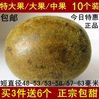 10 установленных подлинных фруктов Luo Han/Big Fruit/Big Fruit Huangxi Special Product