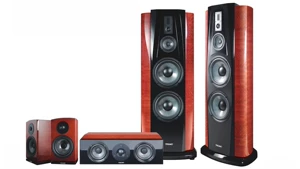 TEAC Audio/Flagship Hifi Five-Peece Large Landing Speaker TX-6 Высококачественный семейный театр