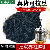 Новый чай Zhangjiajie Wild Eucommiae Leaf Leaf Hunuine Hunan Specialty Eucommiae нежный лист специальные eucommia