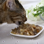 Nike ướt thực phẩm Pet Cát đóng hộp 100g * 2 trẻ mèo thực phẩm 1-4 tháng mèo thực phẩm đồ ăn nhẹ tươi thực phẩm tươi