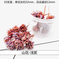 Трехмерные высушенные цветочные горы Цветы светло -фиолетовые (10 цветов)