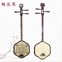 Hakka Plum Blossoms, Chaoshan музыкальный инструмент Qinqin Sanxian костюм Hanfeng Photograph