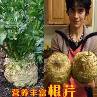 Органический корень небесных семян 20 капсул
