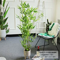 Цвета шампанского