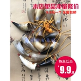 Натуральная маленькая детская игрушка, труба, музыкальные инструменты