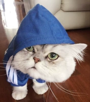 Панда пуговица-синий